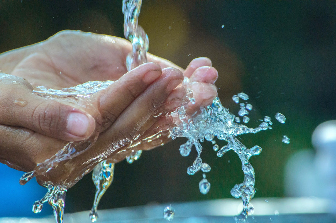 De wereld van de waterontharders (2/3): wat gebeurt er met het water?