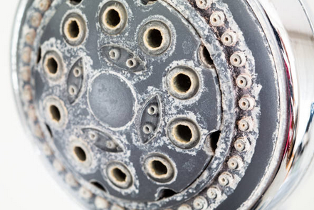 Kalkmagneten en koolstoffiltratie: werken ze echt?
