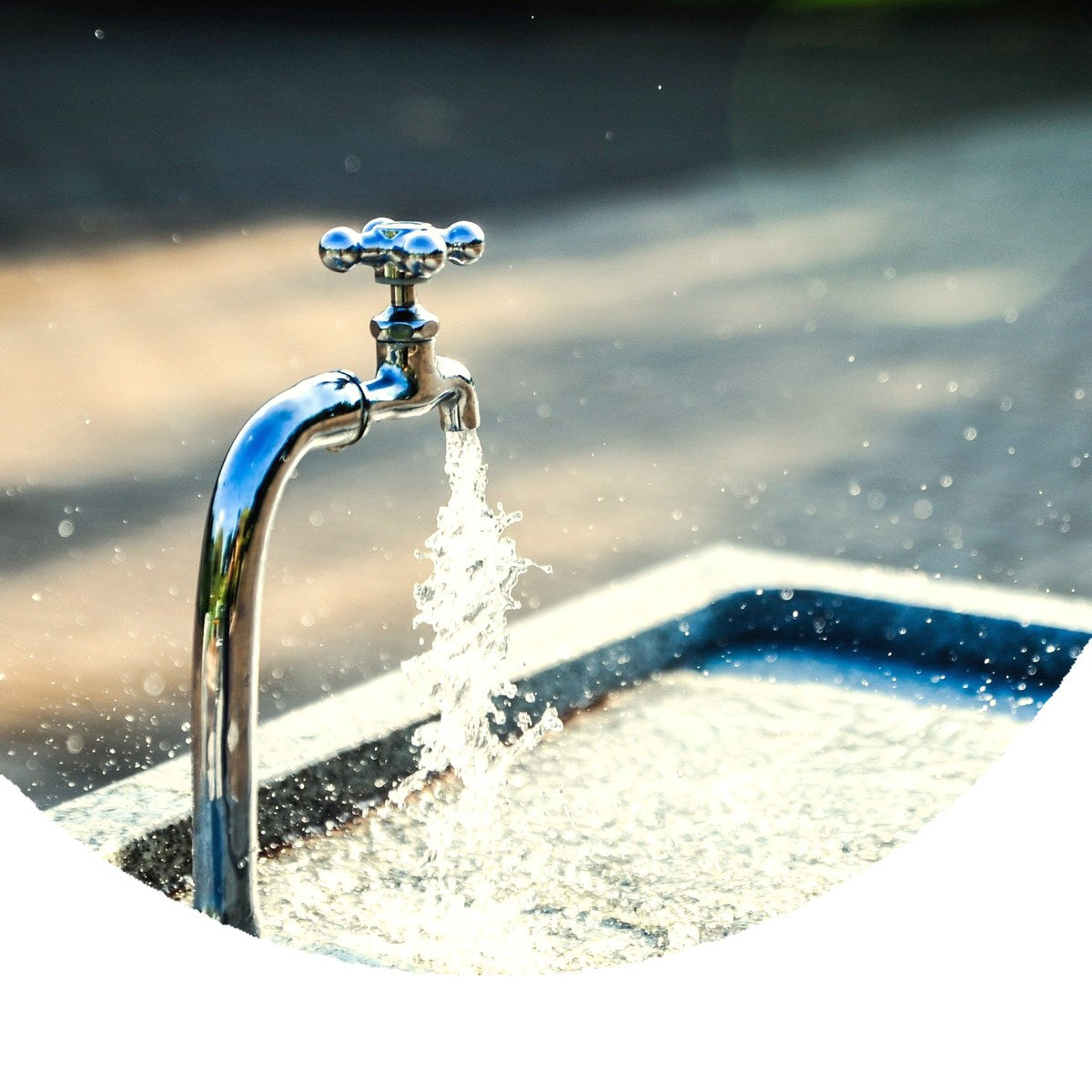 PFAS & Microplastics